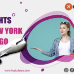 Flights from New York To Chicago